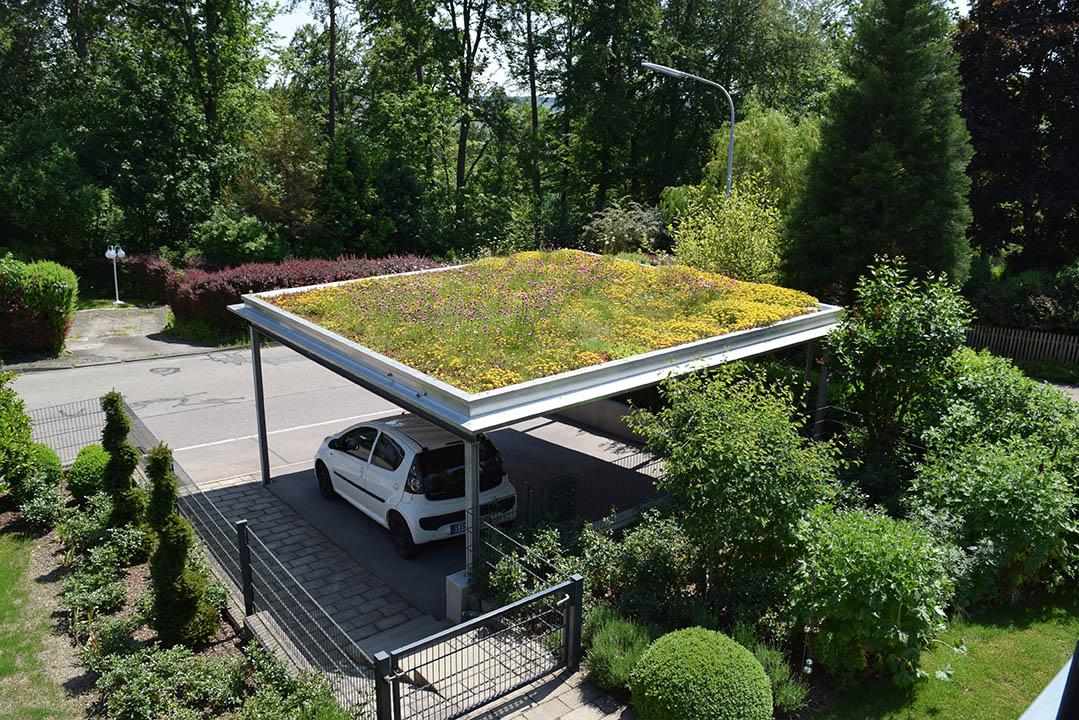 Extensive Dachbegrünung auf Carport