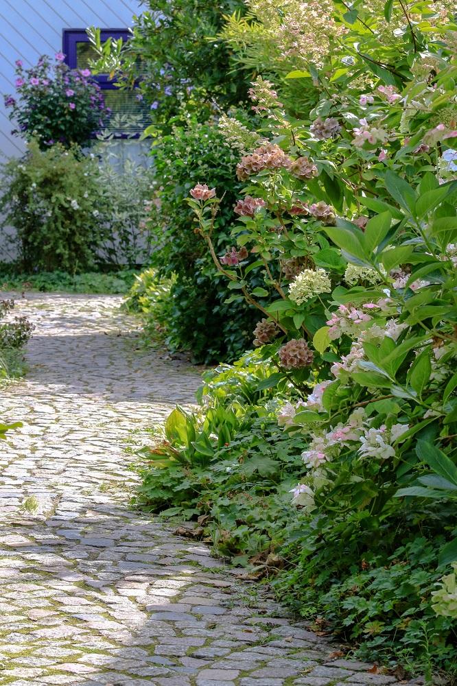 offene Pflasterung auf einem Weg und Bepflanzung mit Stauden und Gehölzen