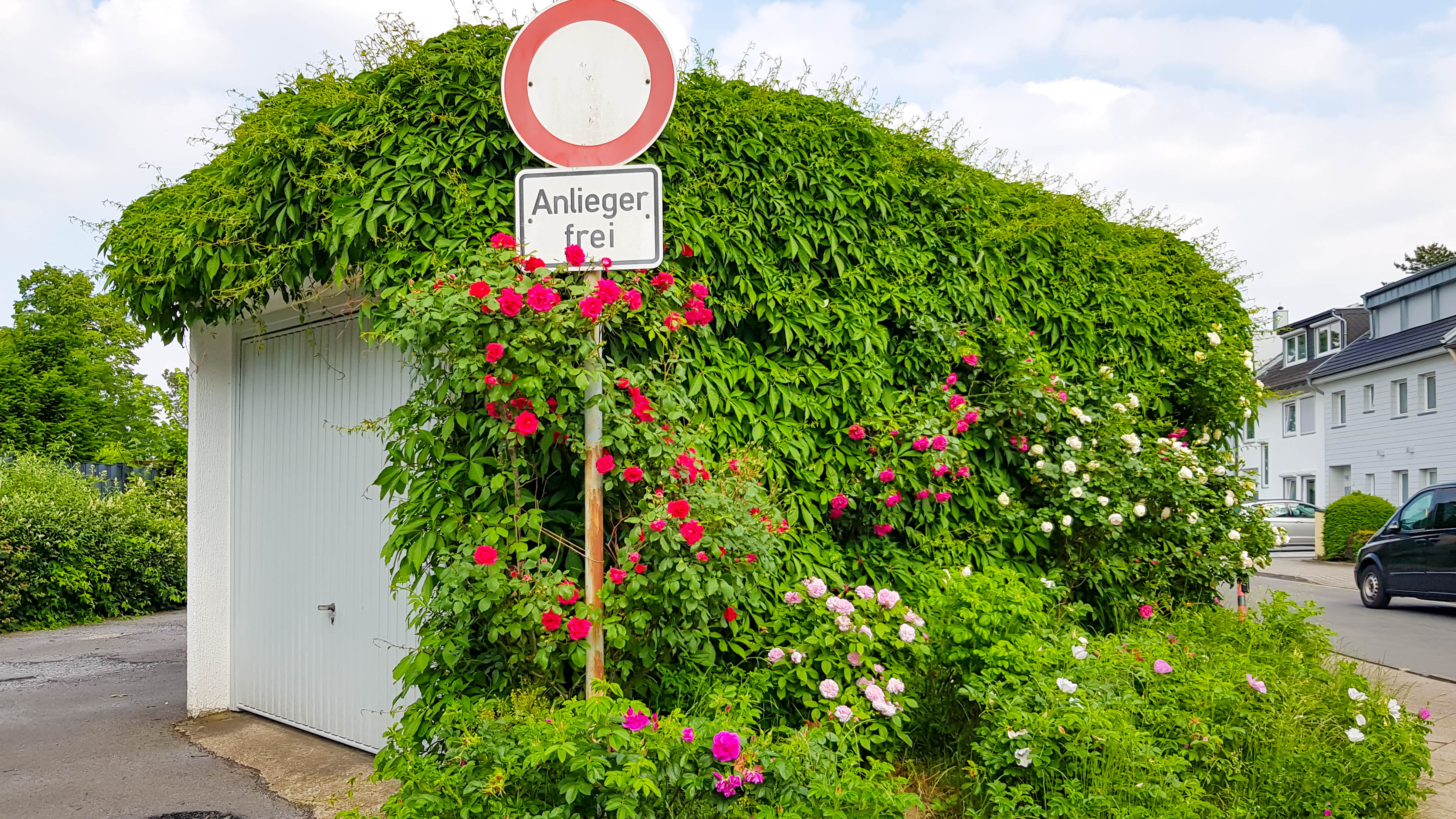 Begrünung an der Garage. (Bild: Verbraucherzentrale NRW)
