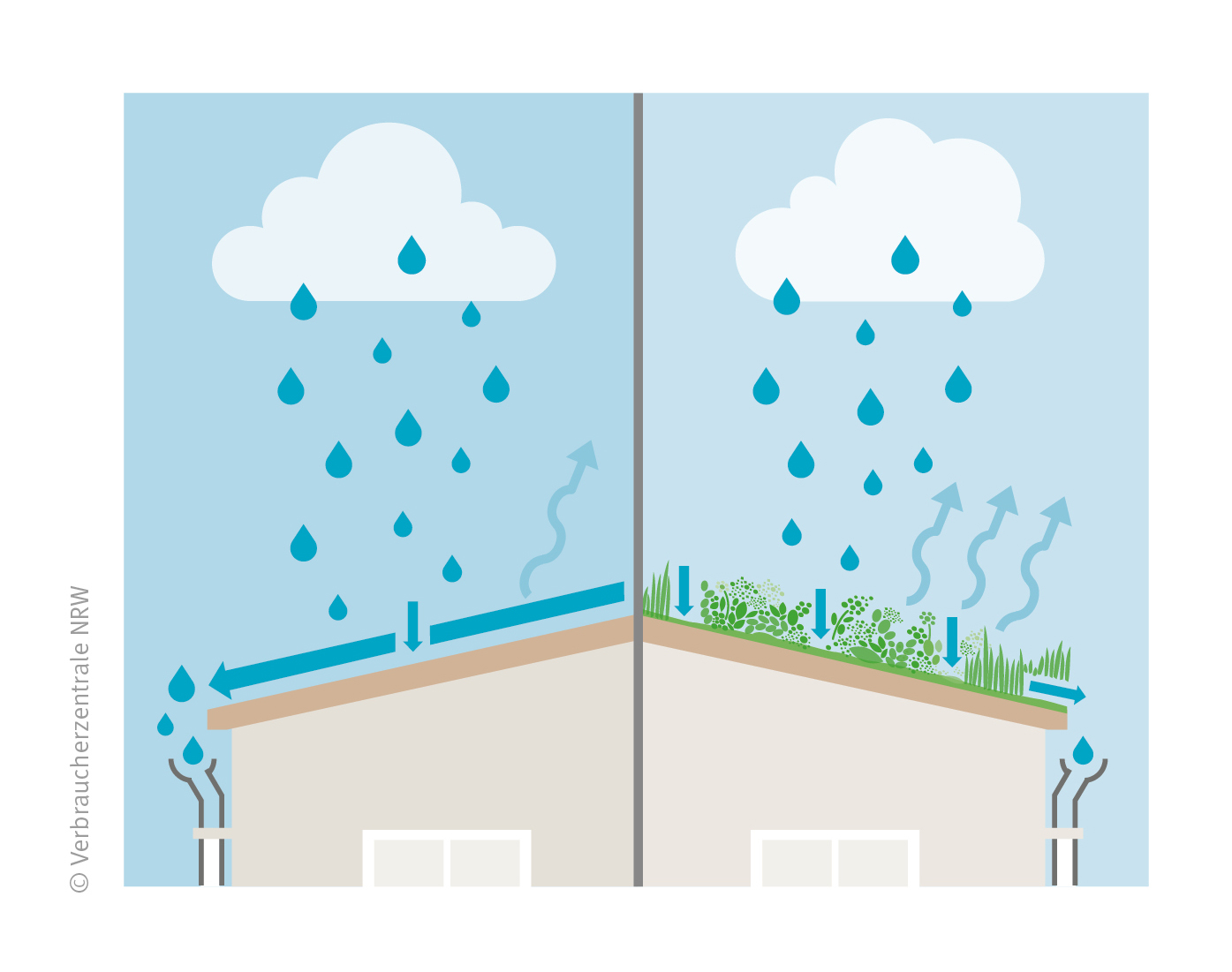 Grafik: Niederschlag auf einem begrünten und einem unbegrünten Dach