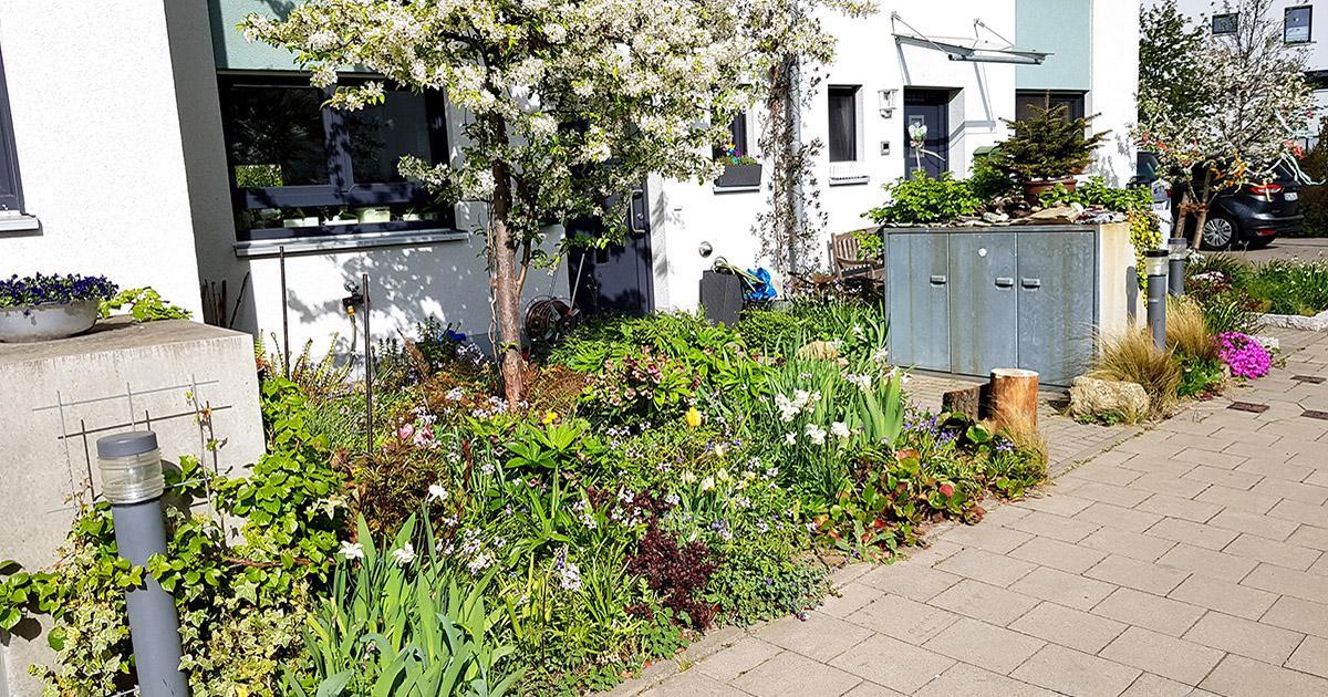 Vorgarten mit Wildblumen