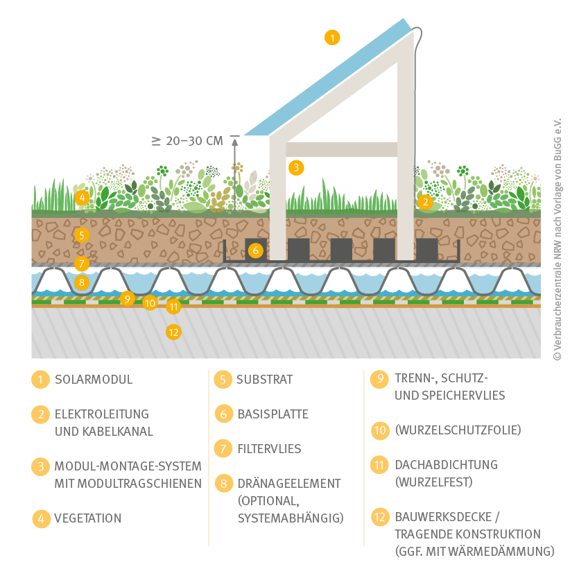 Querschnitt eines extensiven Solargründach (Südausrichtung)