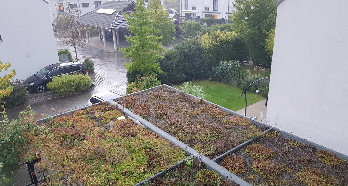 Bei starkem Regen kann ein Gründach Wasser speichern und zeitverzögert abfließen lassen. (Bild: Verbraucherzentrale NRW)