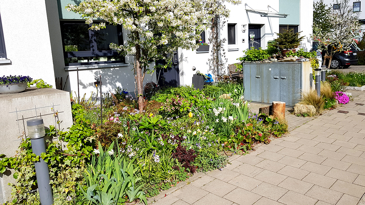 Vorgarten bepflanzt (Bild: Verbraucherzentrale NRW)