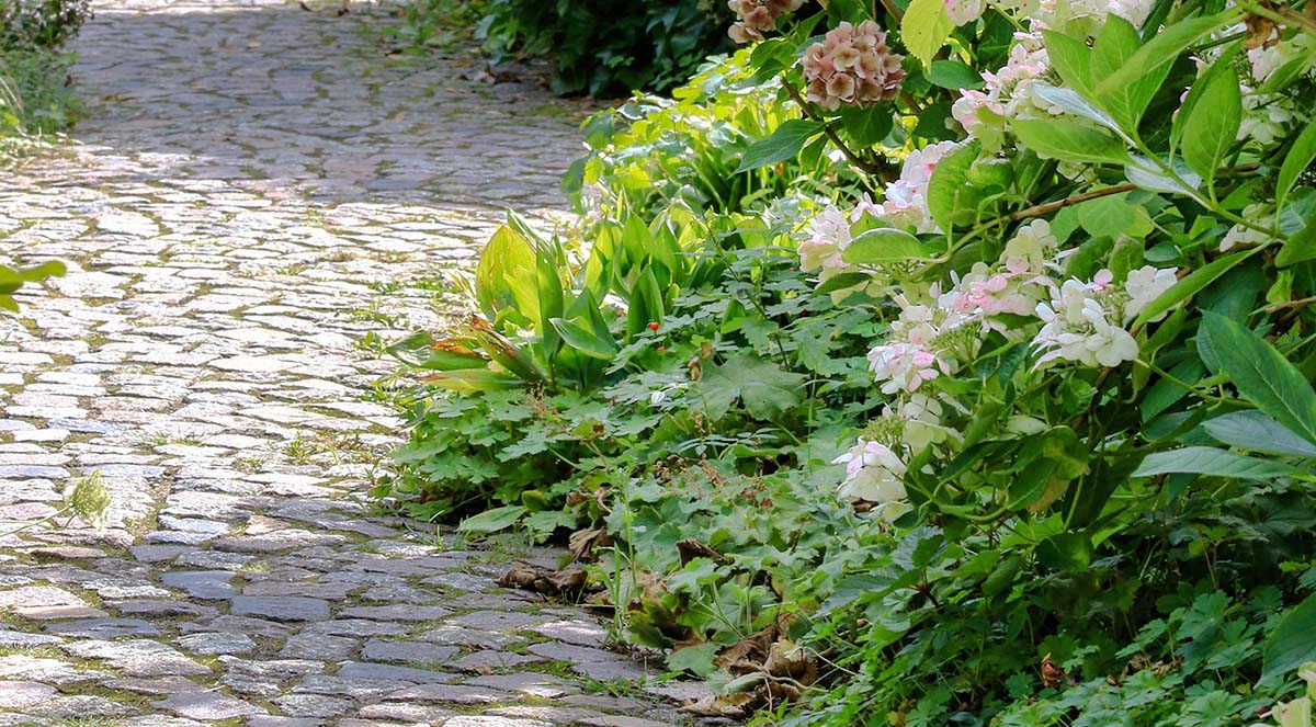 Unversiegelter Weg mit Pflastersteinen und großen Fugen.