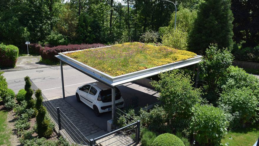 Carport mit Dachbegrünung