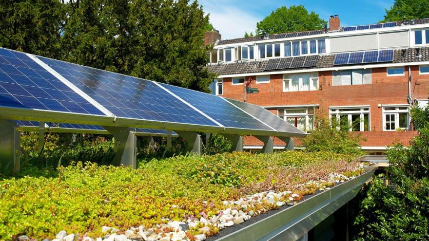 Solargründach mit Photovoltaik auf einer Dachbegrünung