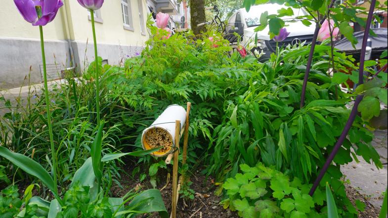 Wildbienenhotel in einem Grünstreifen in der Stadt