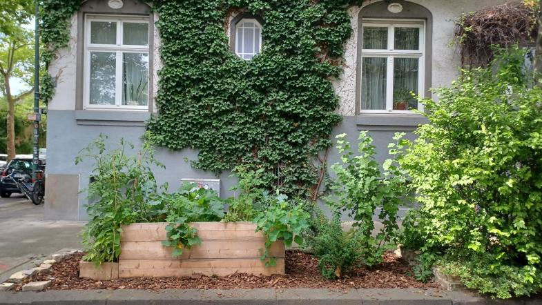Hochbeet und Fassadenbegrünung in einem Wohngebiet in Düsseldorf