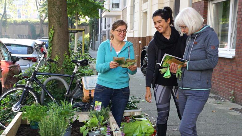 Hochbeet in einem Wohngebiet in Düsseldorf