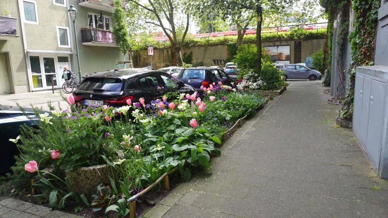 Bepflanzter Grünstreifen in Düsseldorf