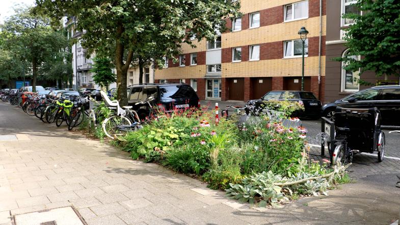 Bepflanzter Grünstreifen in der Stadt an Lastenradstellplatz