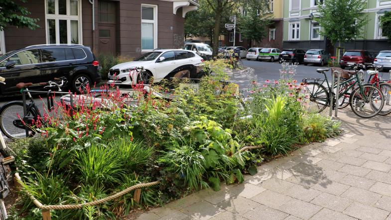 Bepflanzter Grünstreifen in der Stadt an Radstellplatz