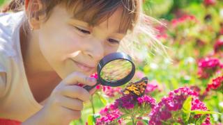 Mädchen betrachtet Schmetterling auf einer Blüte unter einer Lupe